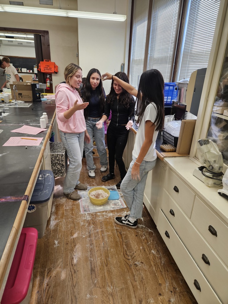 This week in Science students in Mrs. Schauf's 8th grade classes designed and conducted experiments to determine how different variables affect crater formation on the moon. It was very messy, but very productive. 