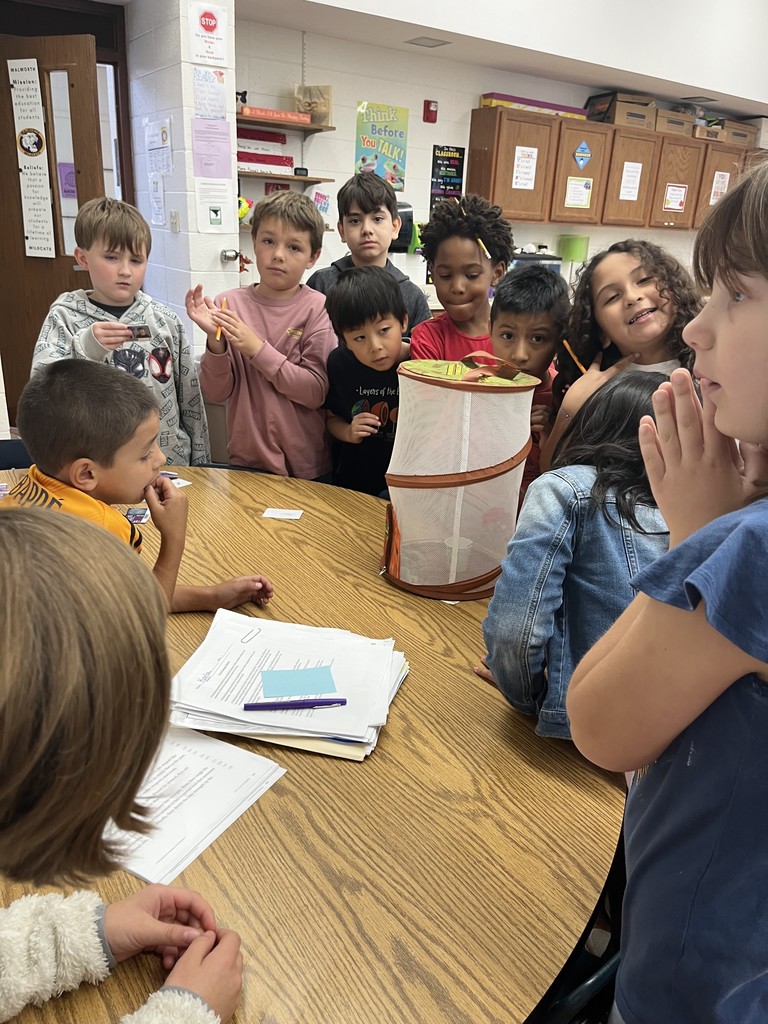 11 students observing a butterfly in a butterfly net