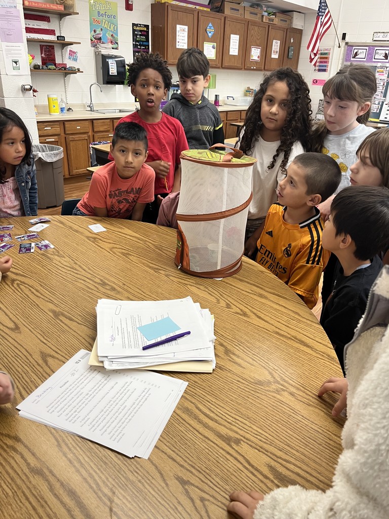 9 students observing a butterfly in a butterfly net