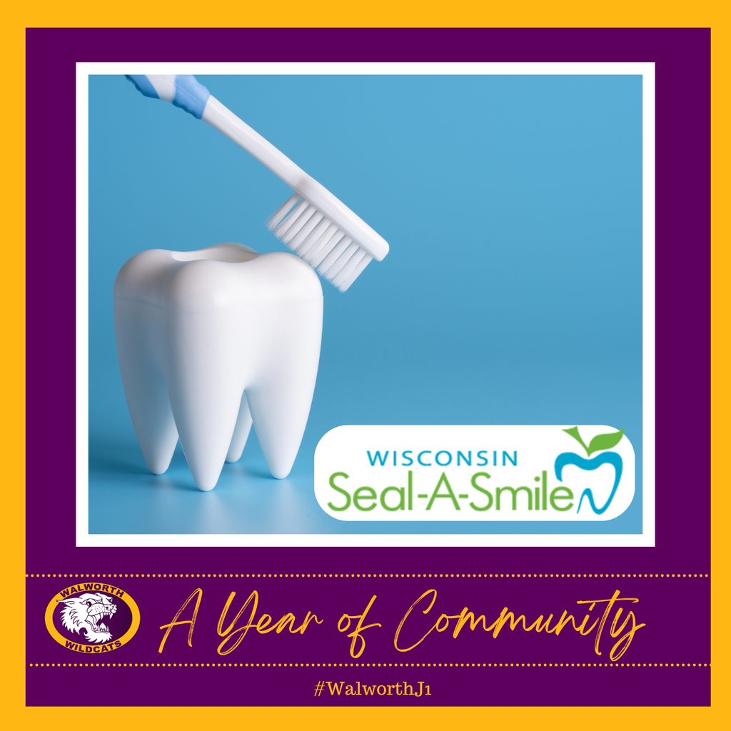 A Year of Community ~ Seal-A-Smile