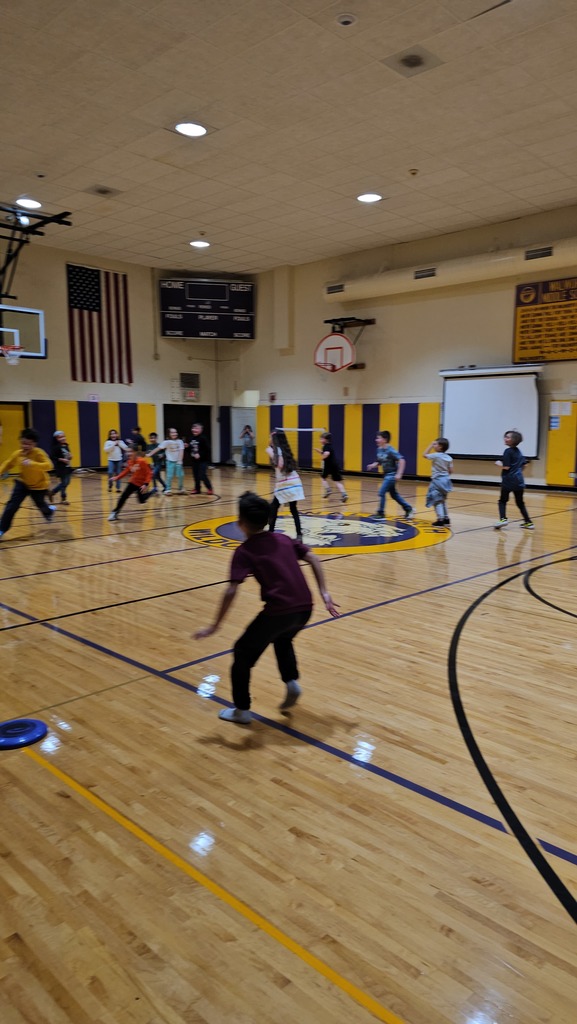 students playing in the gym