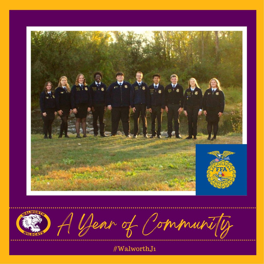 A Year of Community ~ BF FFA 