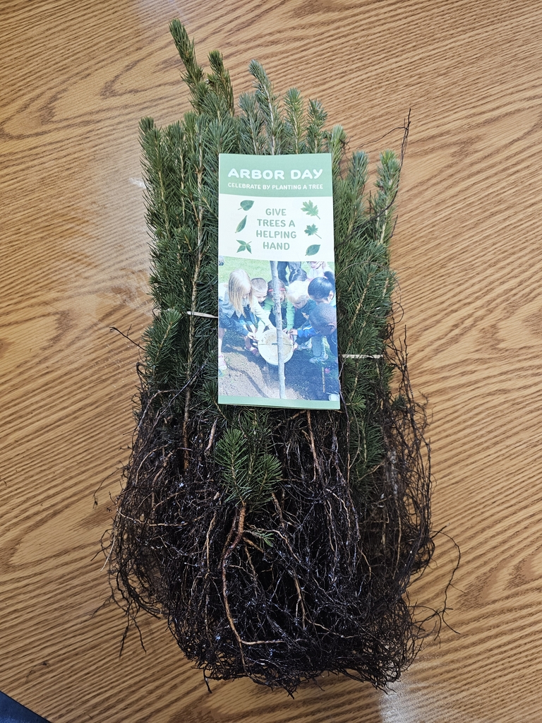 bare root trees from DNR
