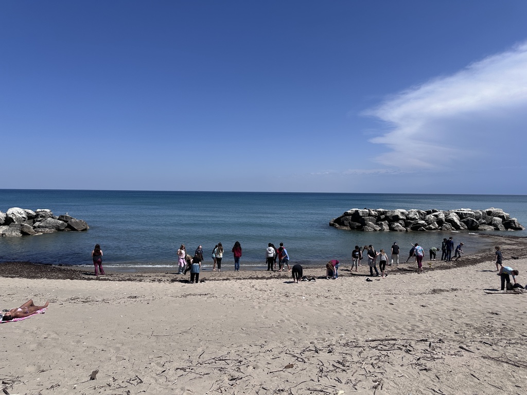 Students wading in Lake Michigan