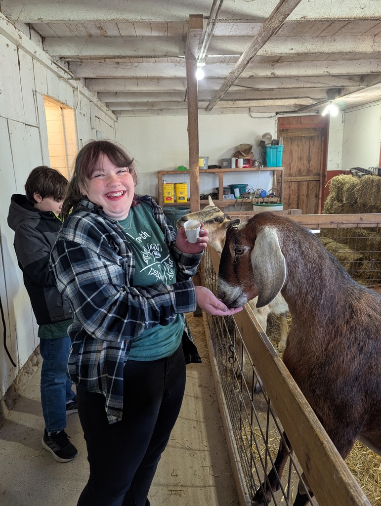 student feeding a brown goat