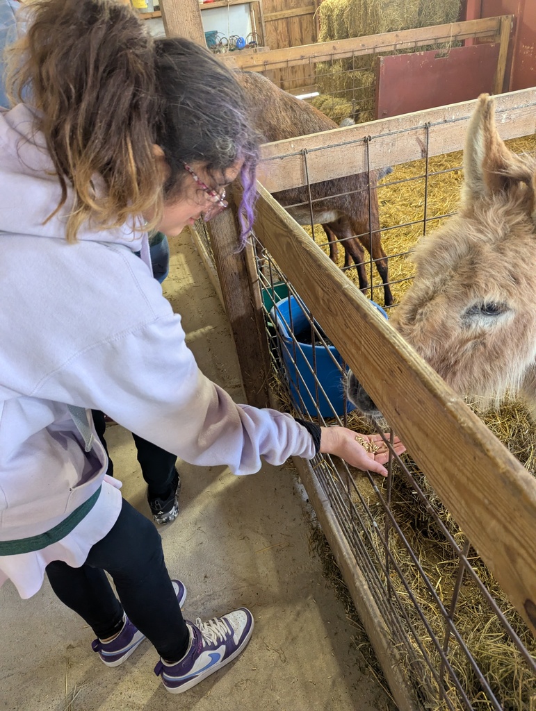 student feeding a donkey