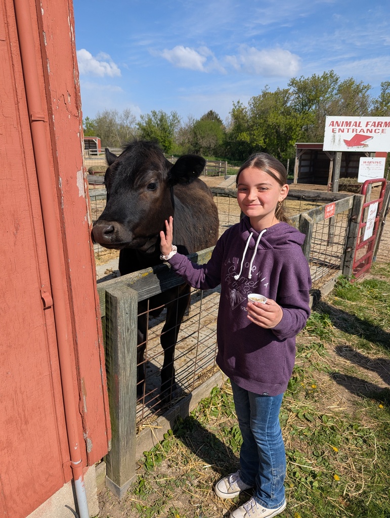 student petting a black cow