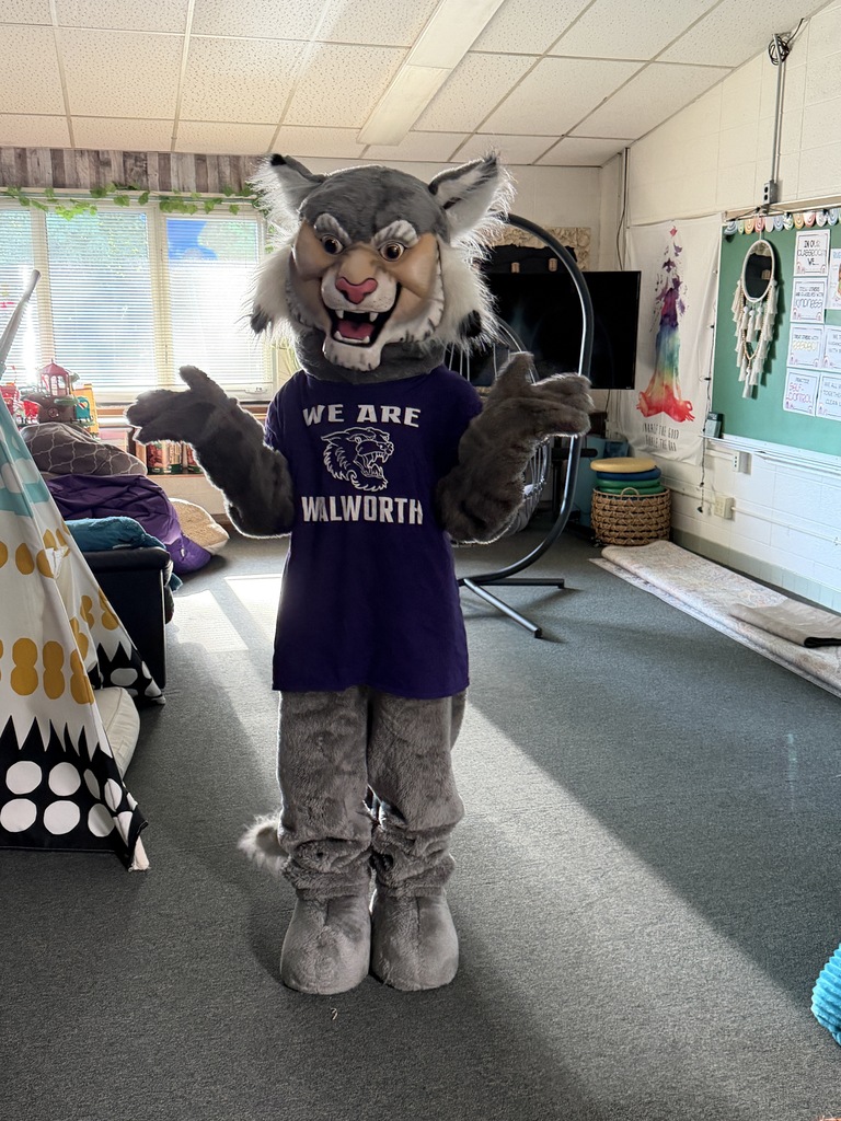 Wesley the Wildcat! 