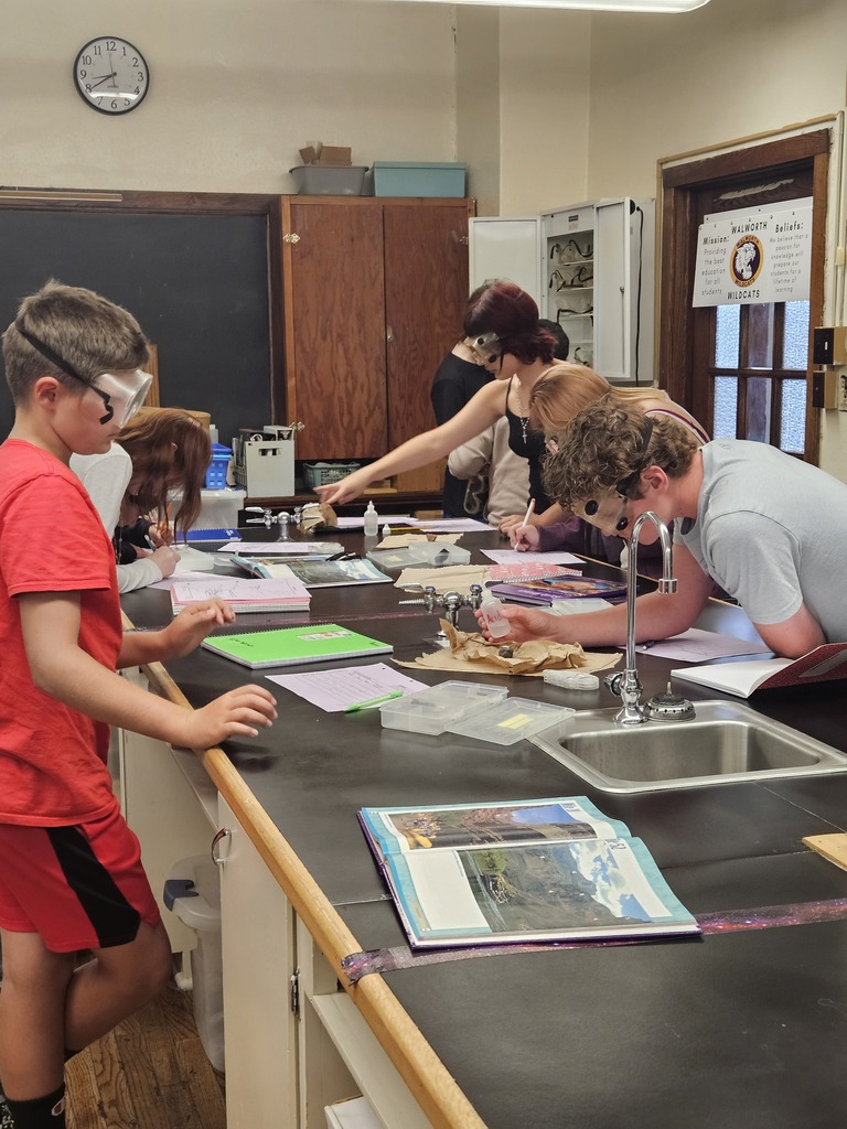 students doing a science experiment