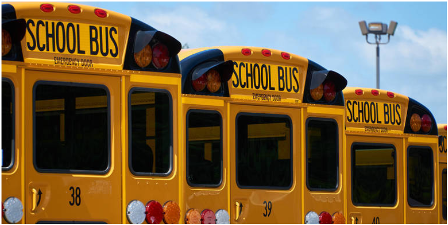 busses parked