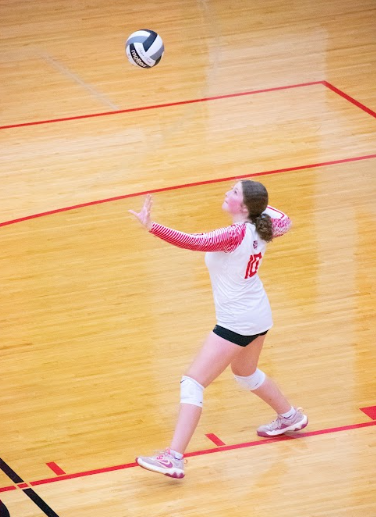 vb