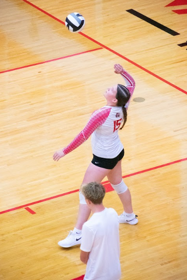 vb