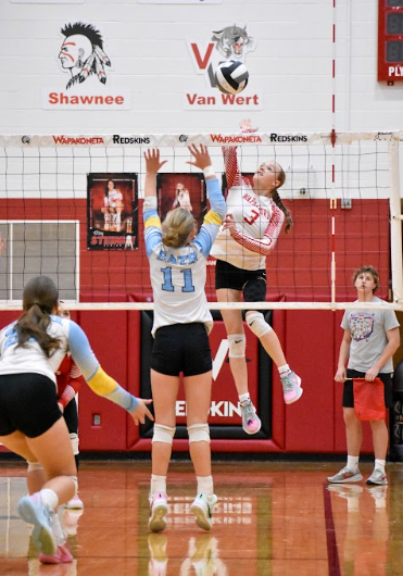 vb