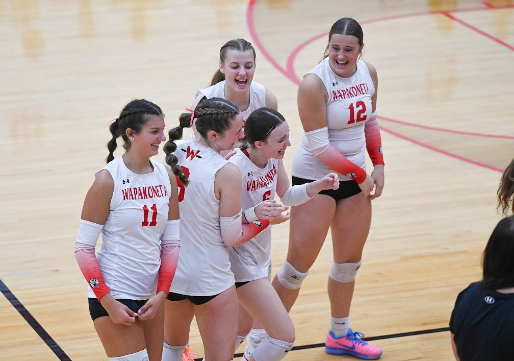 vb