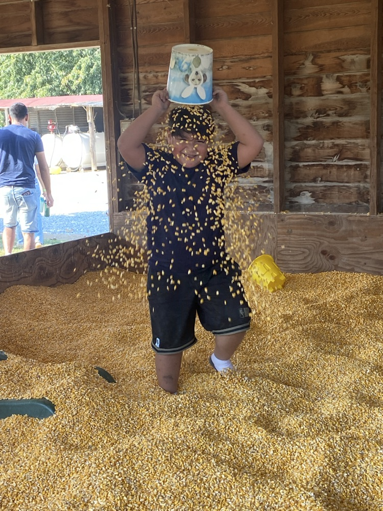 a