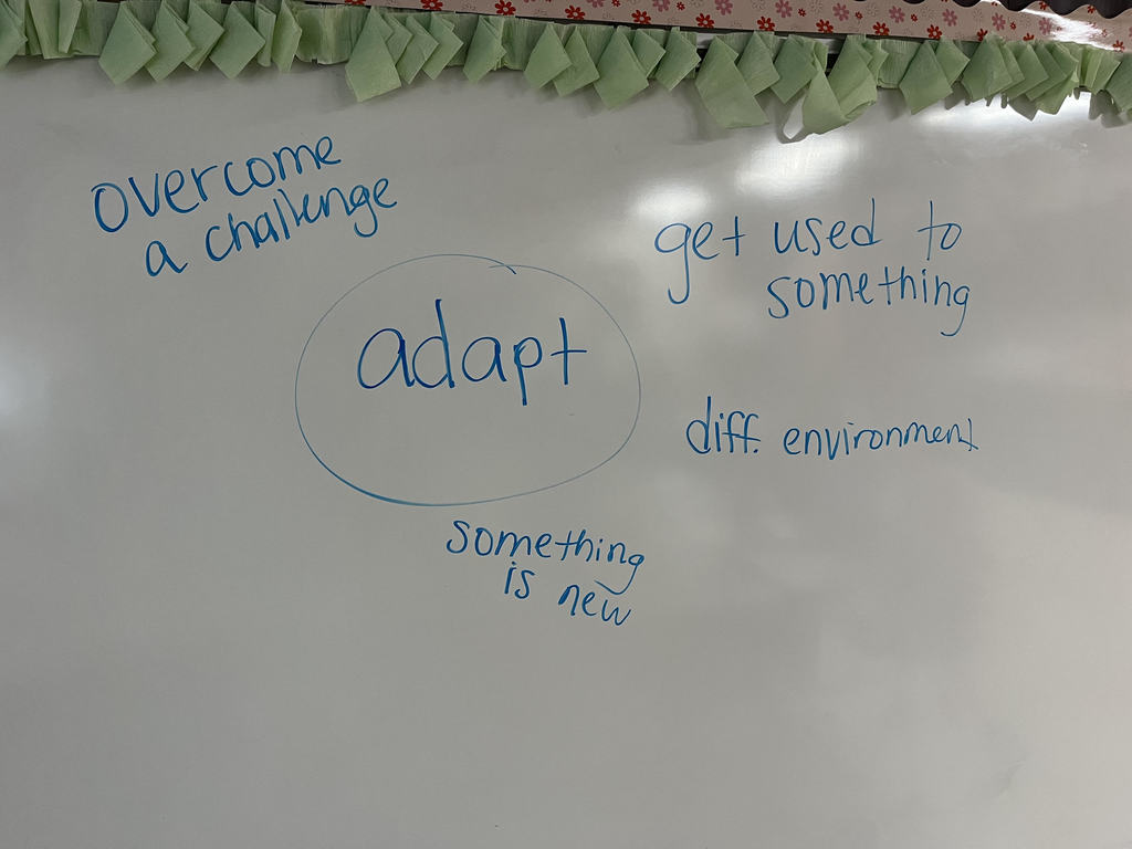 Autism Awareness Week