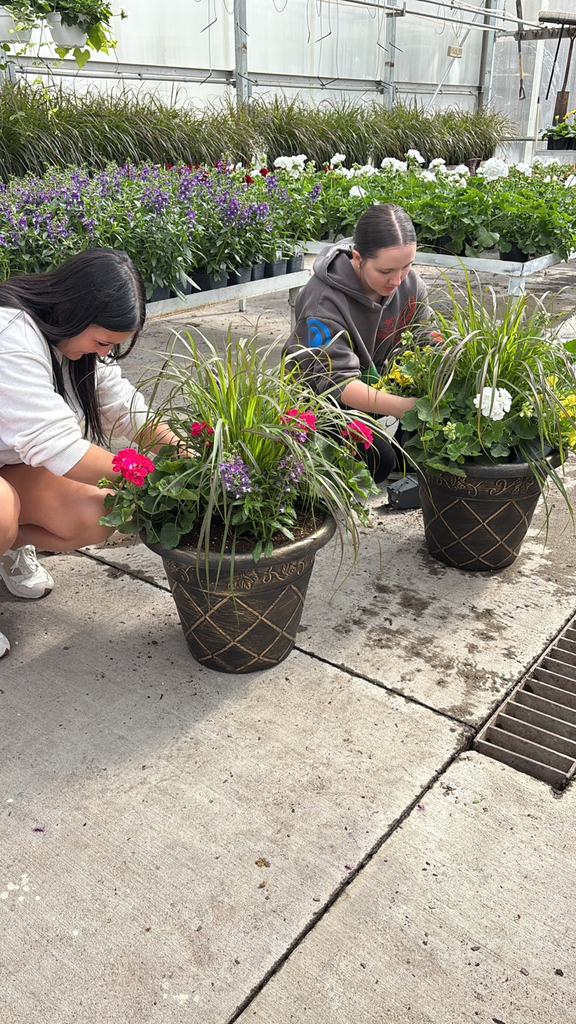 Macey & Bristol creating new planters 