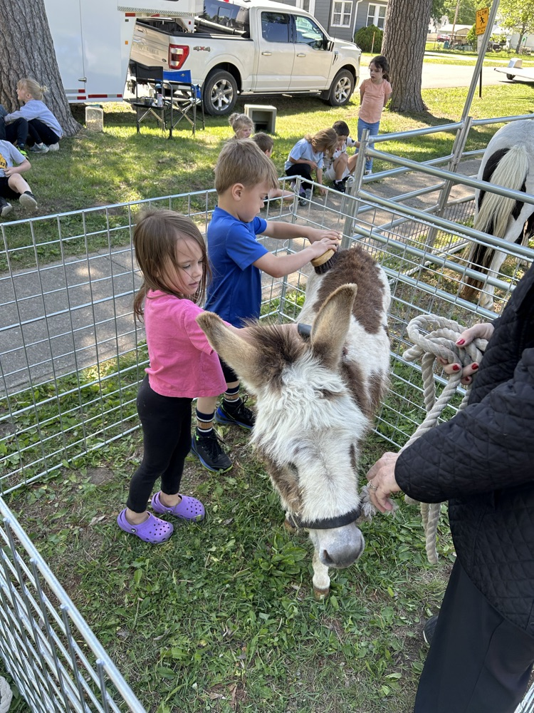 animals