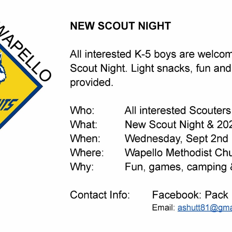 New Scout Night