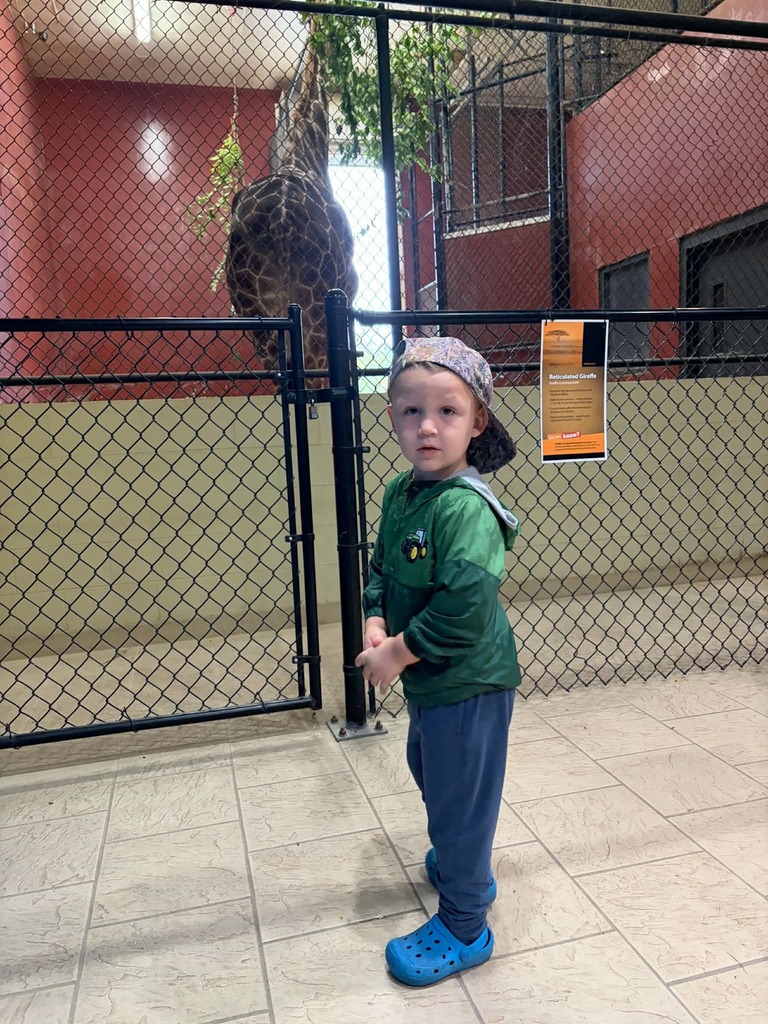 zoo