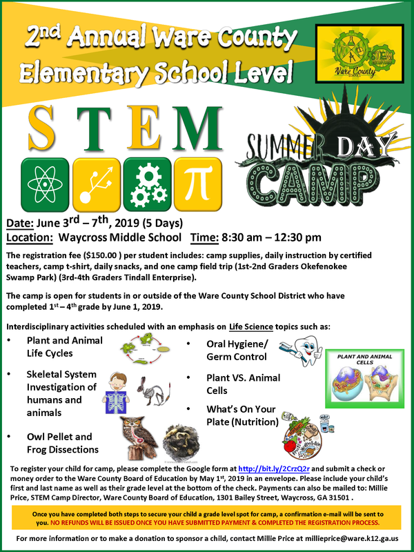 Elementary STEM Camp Flyer