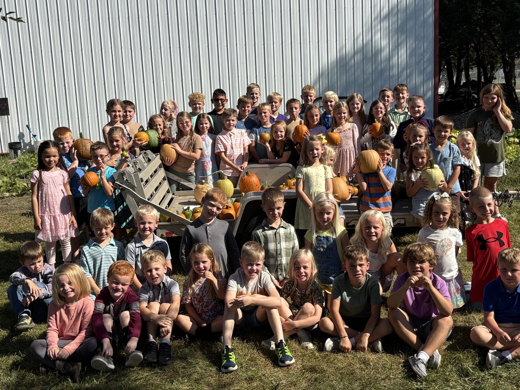 🌟 Pumpkin smiles!
