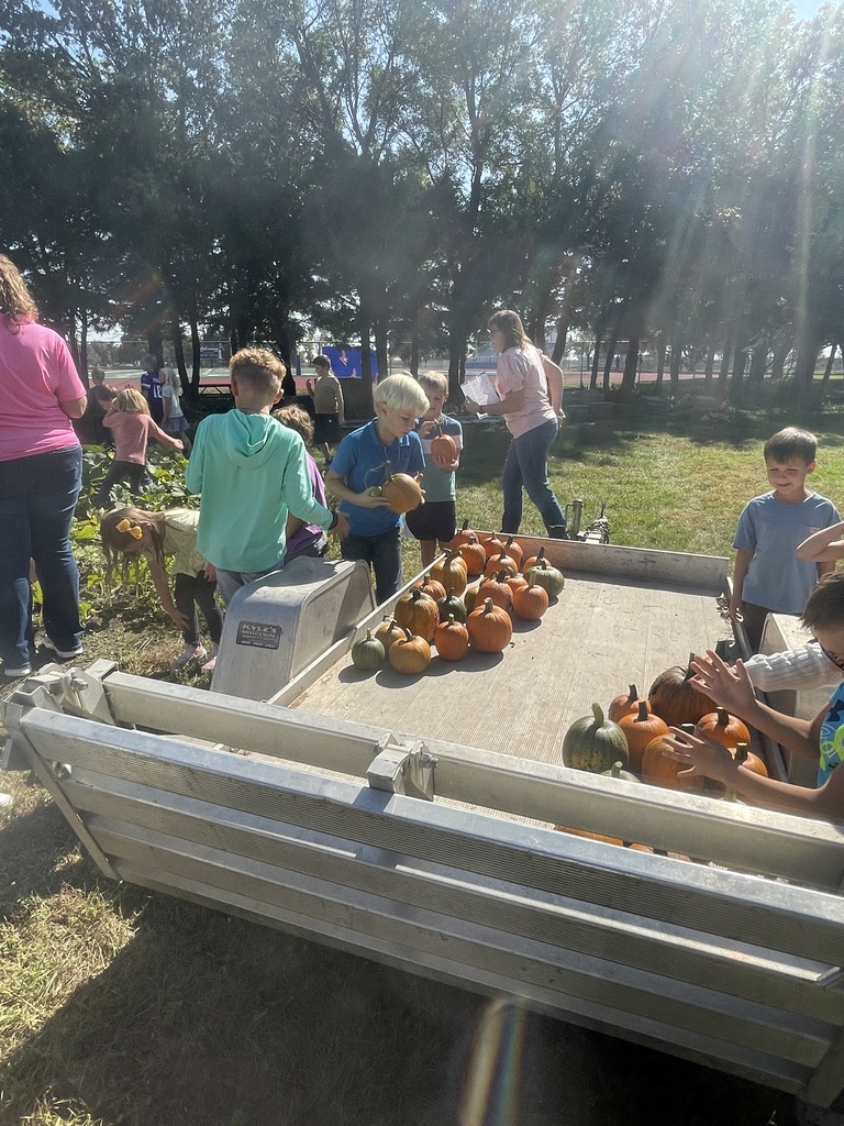 🎃 Pumpkin power!