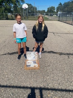 Solar Cookers