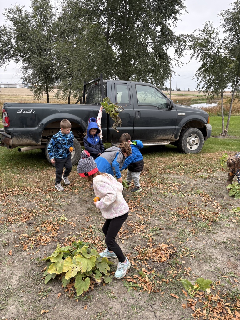 Fall Cleanup