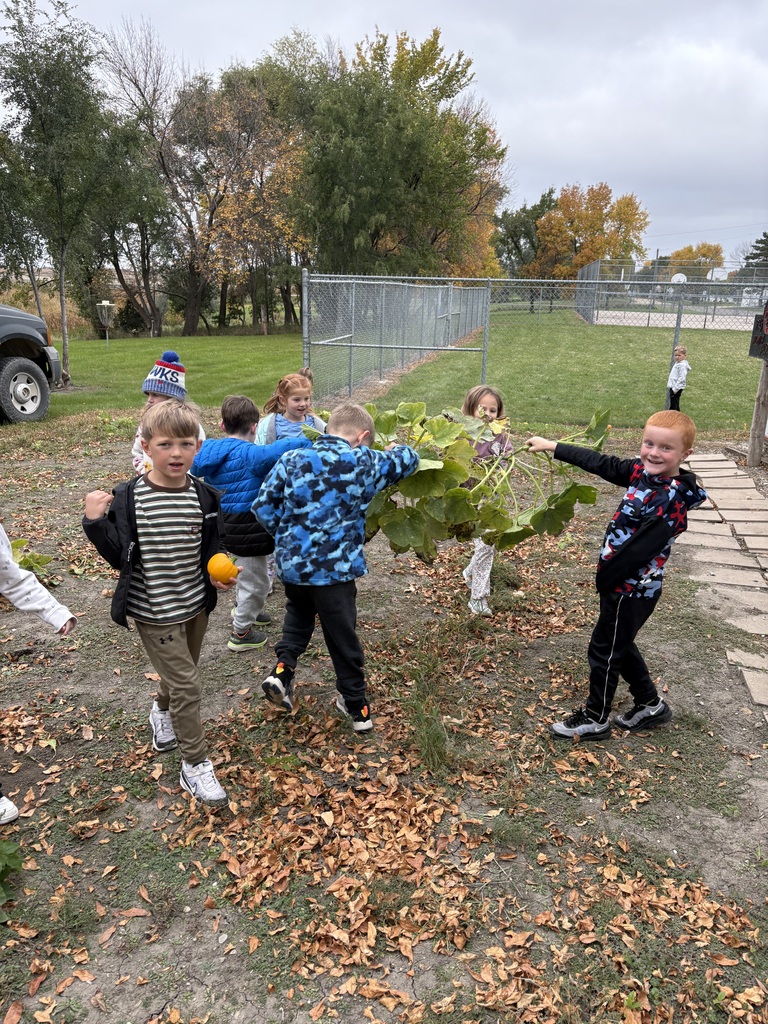 Fall Cleanup