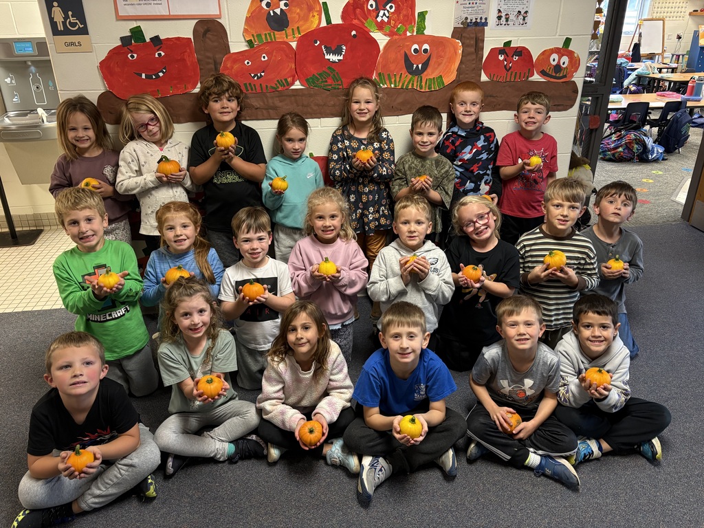 Pumpkin Harvest
