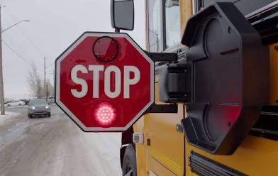 bus info