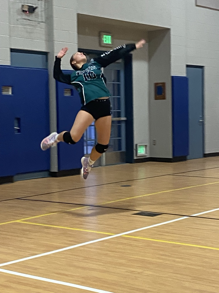 volleyball