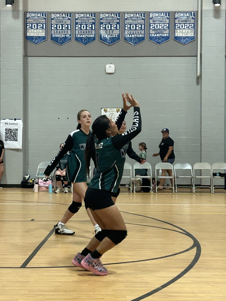 volleyball