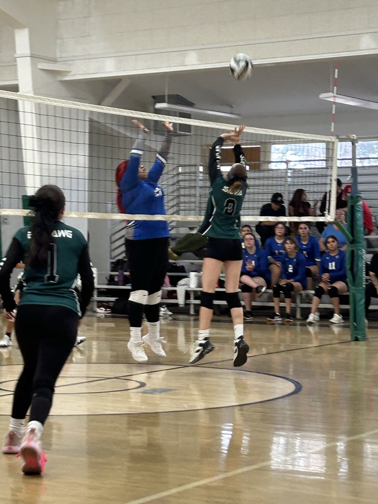 volleyball