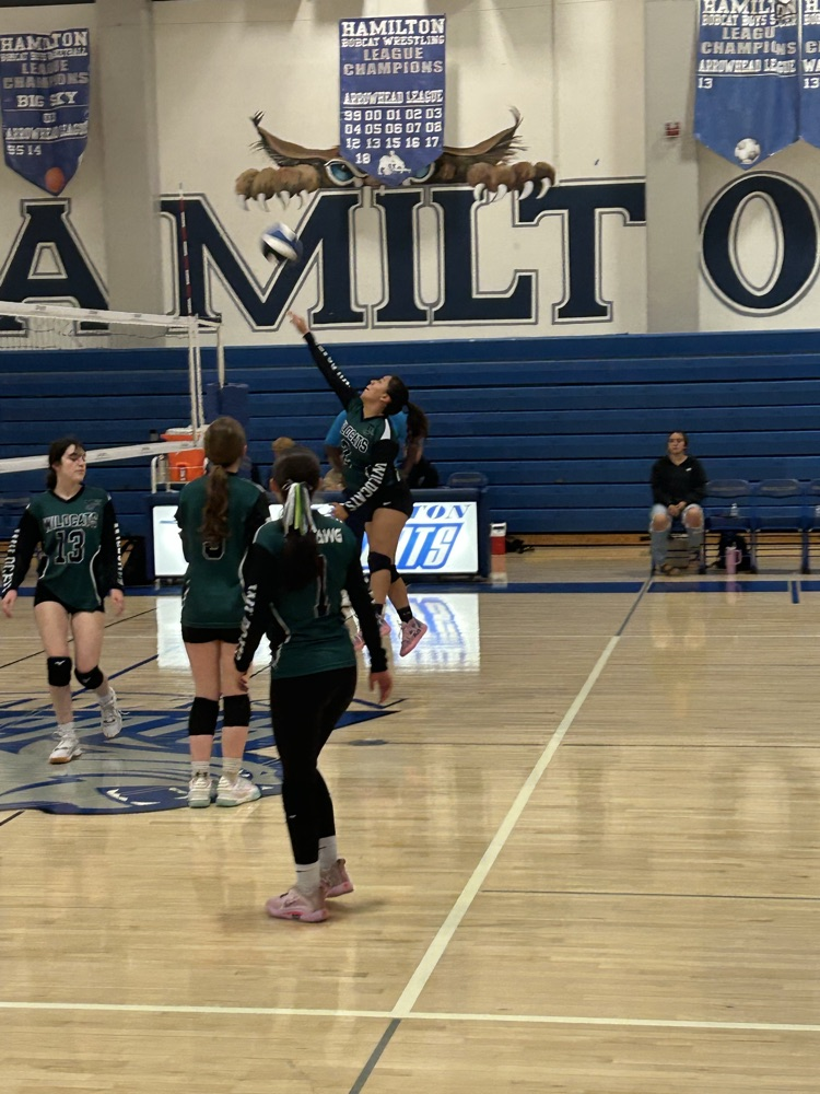 volleyball