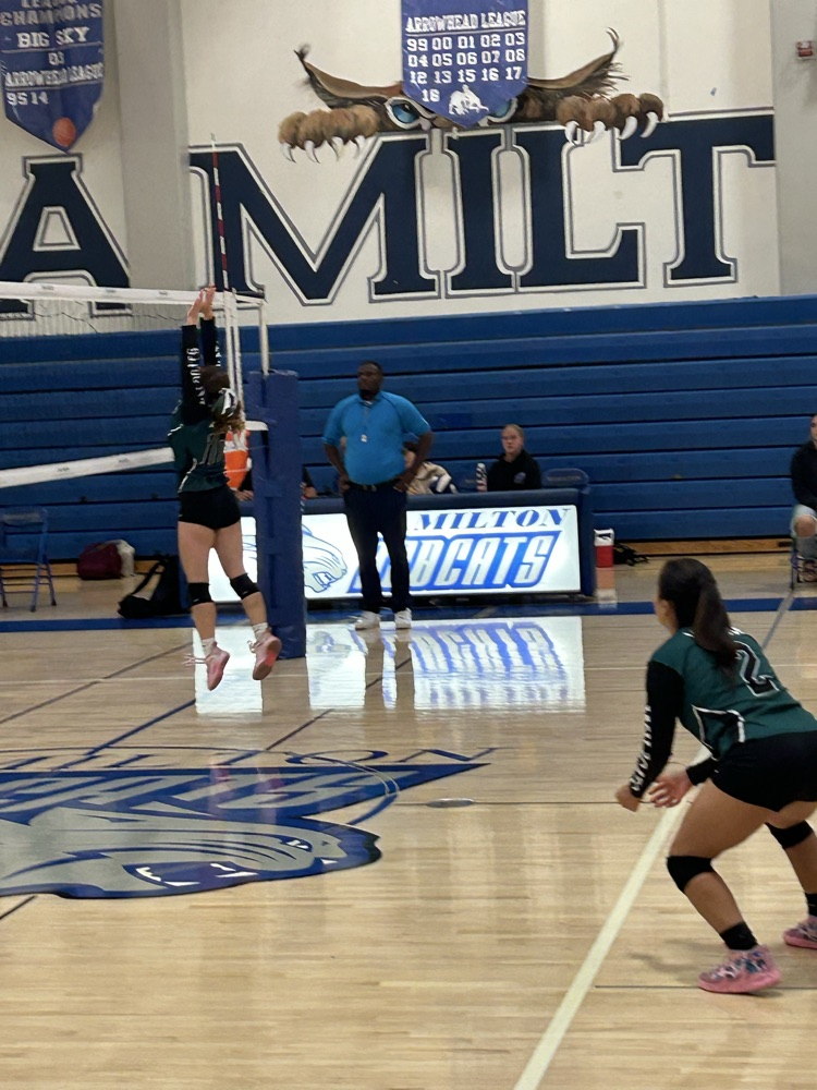 volleyball