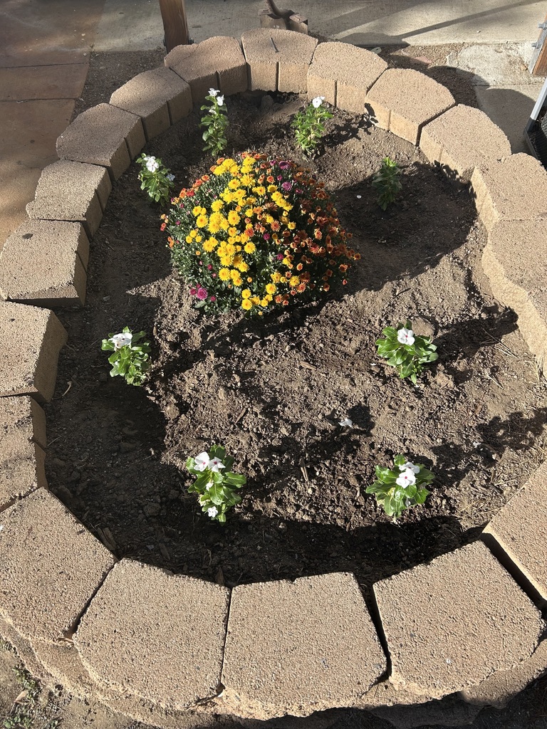 Campus Beautification