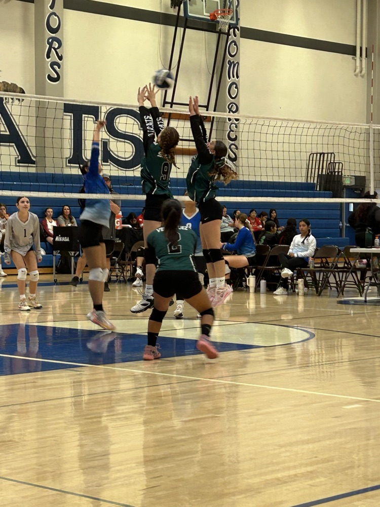 volleyball tournament