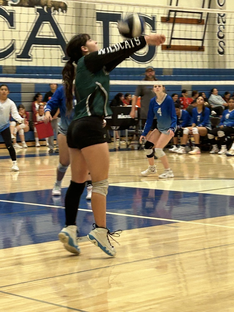 volleyball tournament