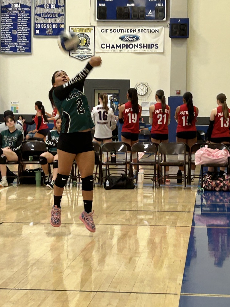 volleyball tournament