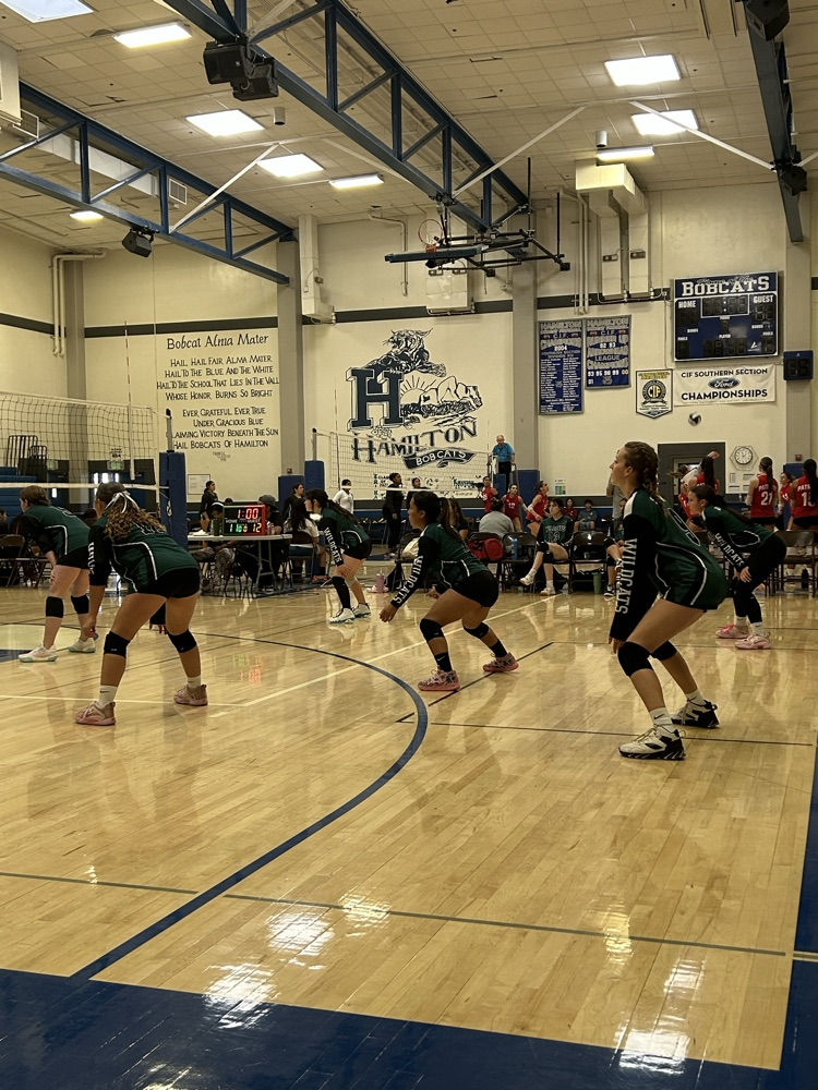 volleyball tournament