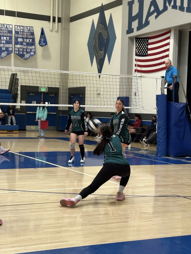 volleyball tournament