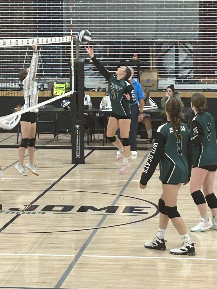 volleyball
