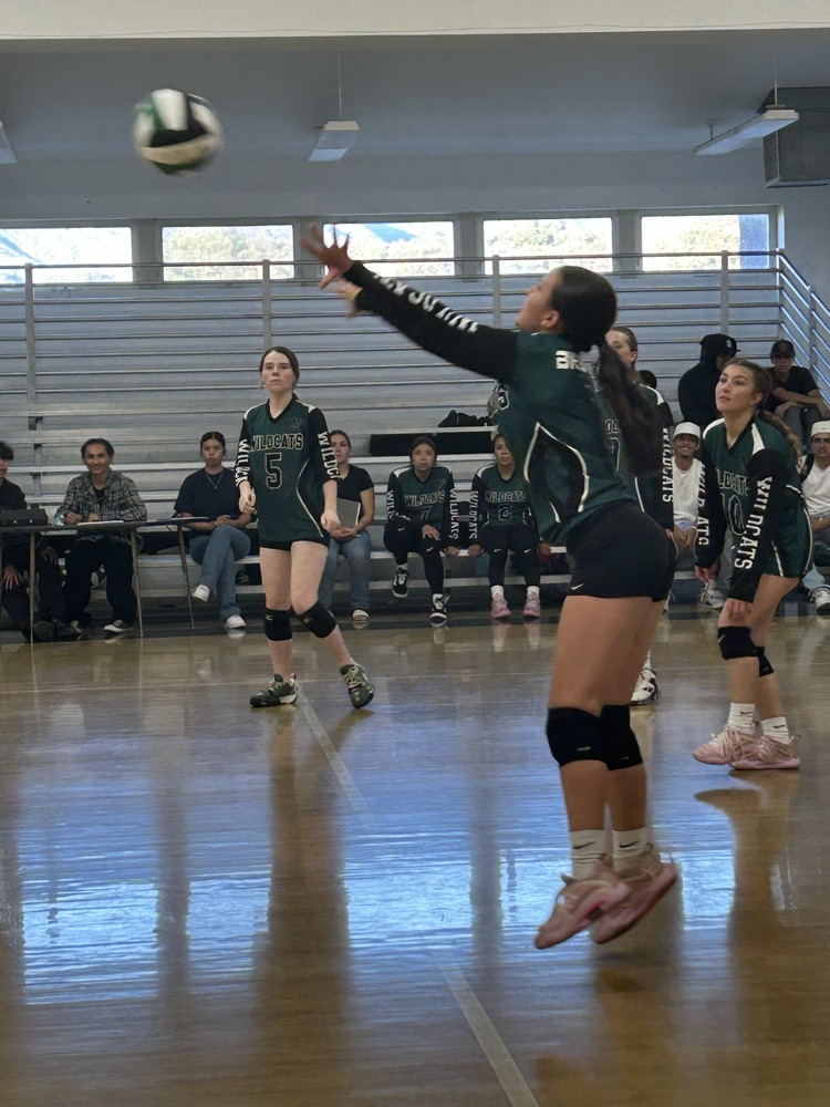 girls volleyball