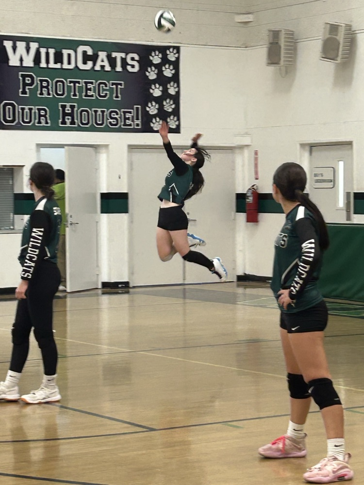 girls volleyball