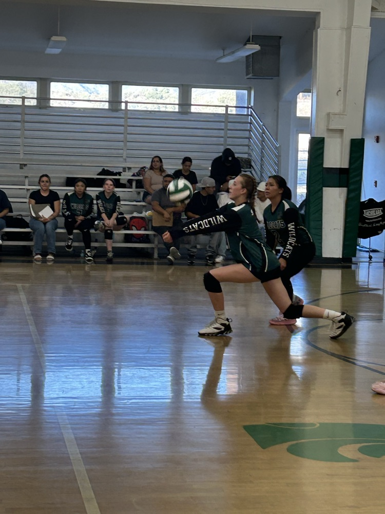 girls volleyball