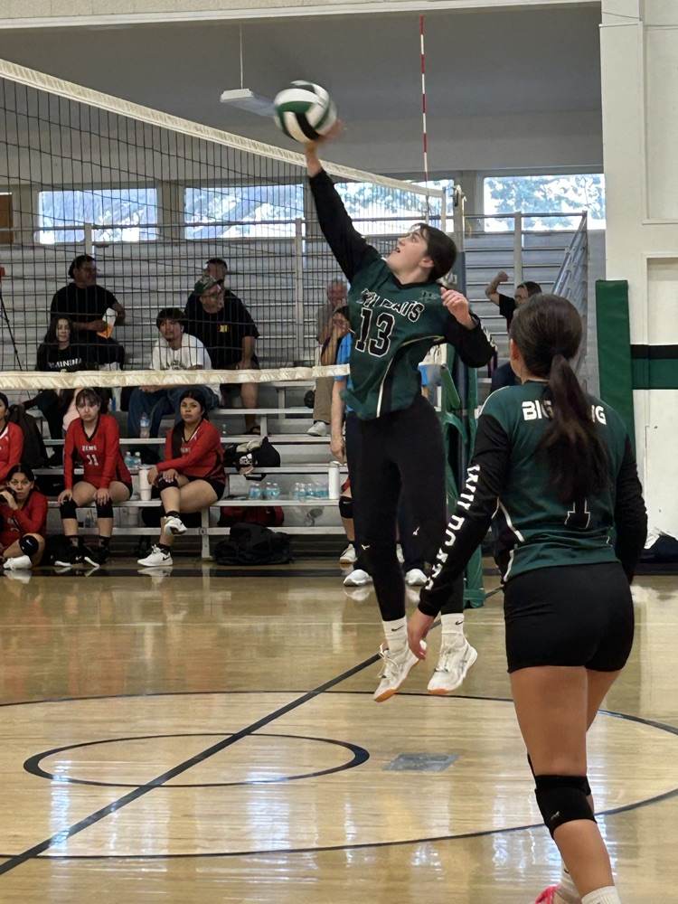 girls volleyball