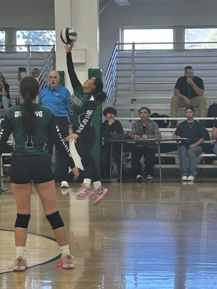 girls volleyball
