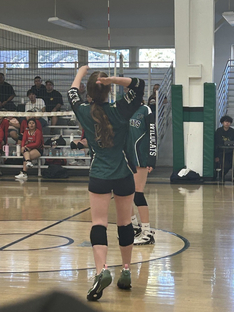 girls volleyball